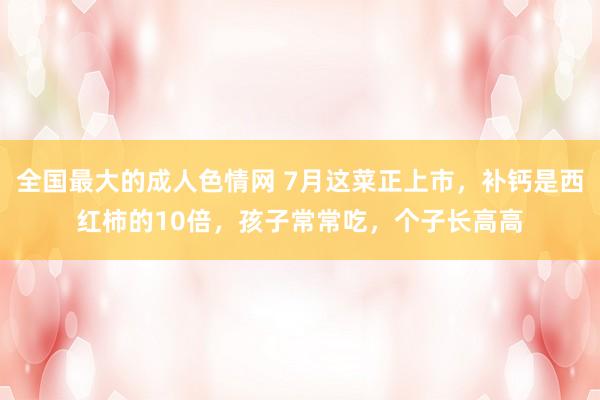 全国最大的成人色情网 7月这菜正上市，补钙是西红柿的10倍，孩子常常吃，个子长高高