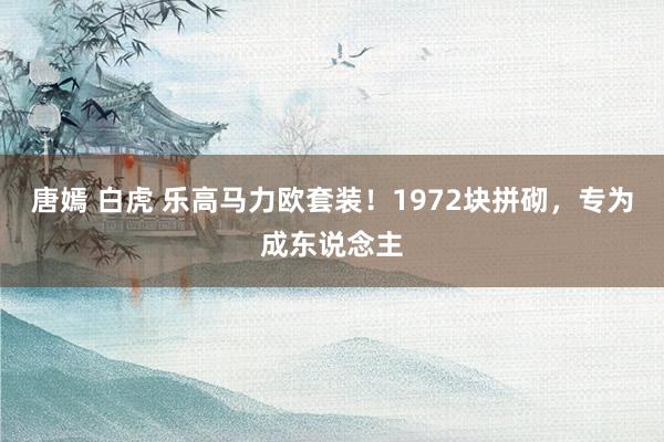 唐嫣 白虎 乐高马力欧套装！1972块拼砌，专为成东说念主