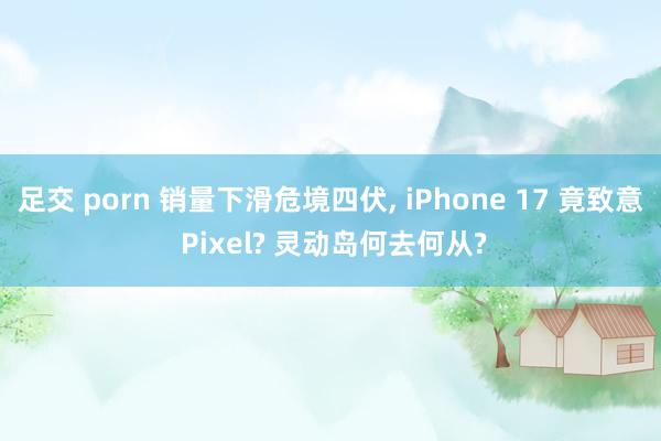足交 porn 销量下滑危境四伏, iPhone 17 竟致意 Pixel? 灵动岛何去何从?