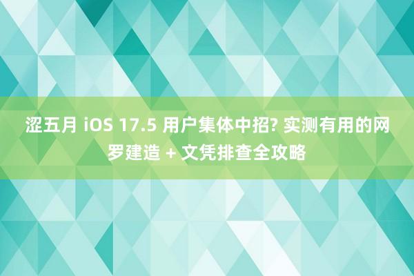 涩五月 iOS 17.5 用户集体中招? 实测有用的网罗建造 + 文凭排查全攻略