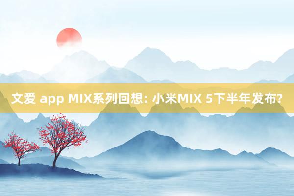 文爱 app MIX系列回想: 小米MIX 5下半年发布?