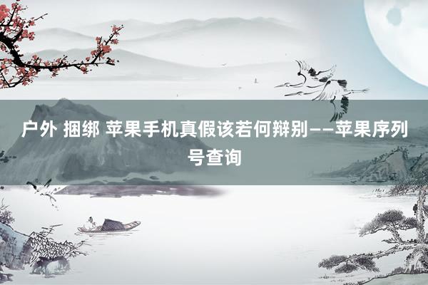 户外 捆绑 苹果手机真假该若何辩别——苹果序列号查询