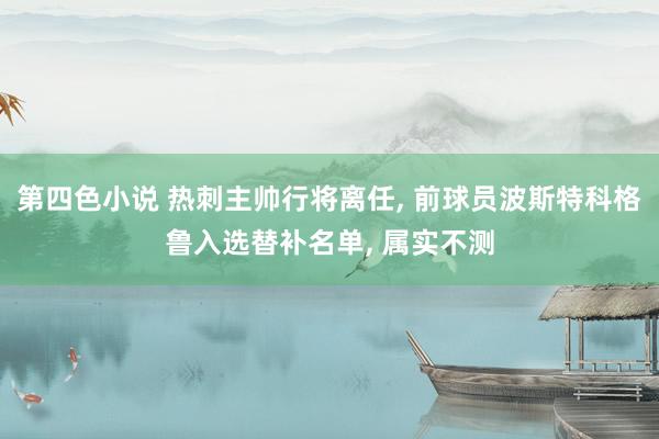 第四色小说 热刺主帅行将离任, 前球员波斯特科格鲁入选替补名单, 属实不测