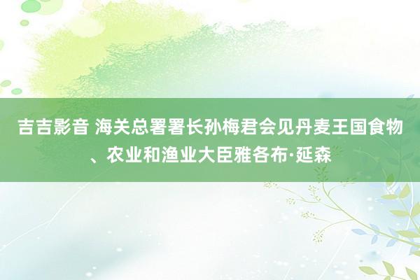 吉吉影音 海关总署署长孙梅君会见丹麦王国食物、农业和渔业大臣雅各布·延森