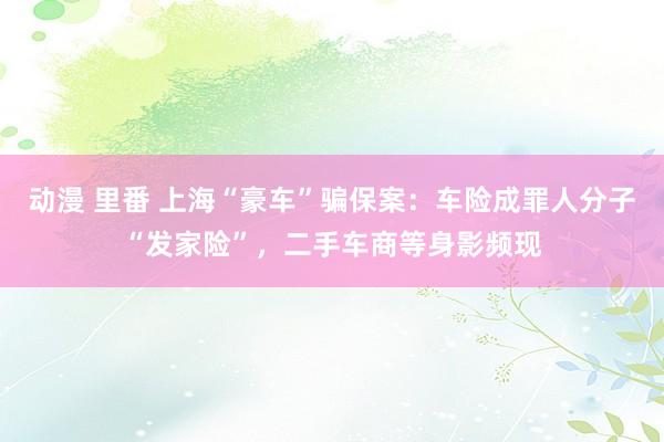 动漫 里番 上海“豪车”骗保案：车险成罪人分子“发家险”，二手车商等身影频现