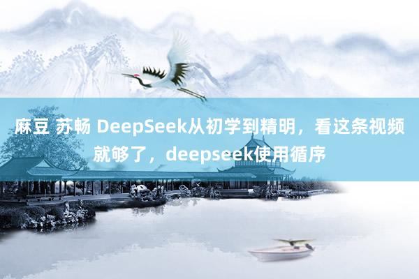 麻豆 苏畅 DeepSeek从初学到精明，看这条视频就够了，deepseek使用循序
