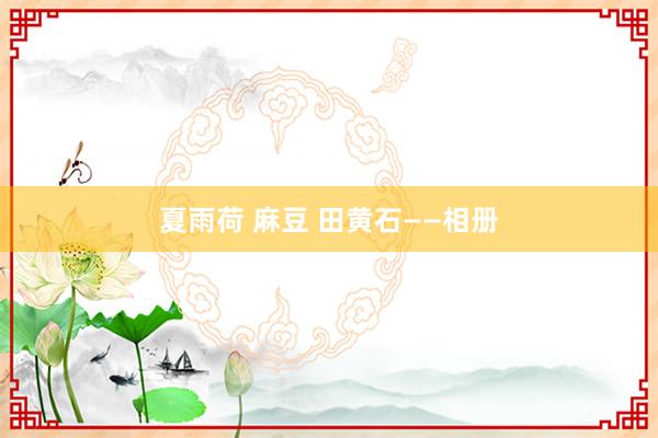 夏雨荷 麻豆 田黄石——相册