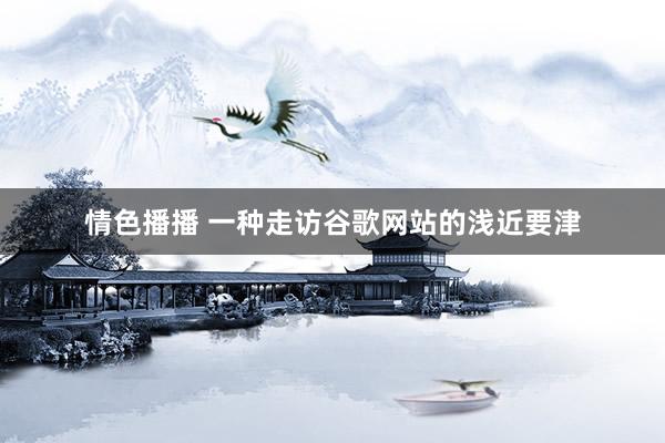 情色播播 一种走访谷歌网站的浅近要津