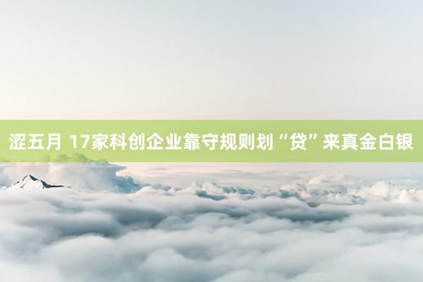 涩五月 17家科创企业靠守规则划“贷”来真金白银